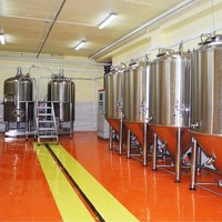 3bbl/5bbl micro brewery equipment for restaurant, 500L beer equipment for restaurant