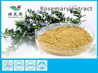NATURAL HERBAL EXTRACT WHOLESALE POWDER