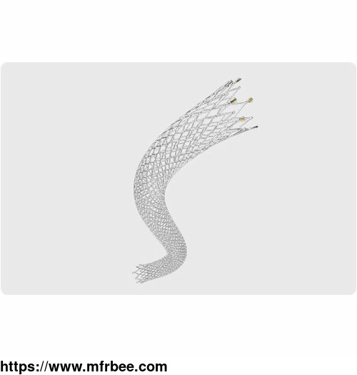 peripheral_stent_system