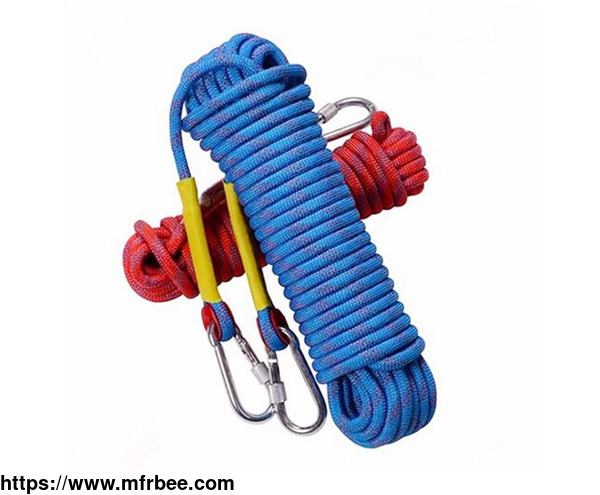 bungee_cord_with_hook