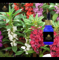 Balsam Oil | Meena Perfumery