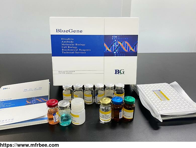 bluegene_biotech_bovine_cluster_of_differentiation_8_elisa_kit