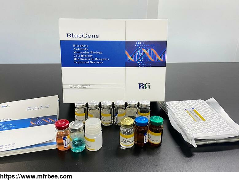 bluegene_biotech
