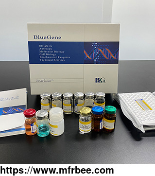 bluegene_biotech_bovine_catalase_elisa_kit