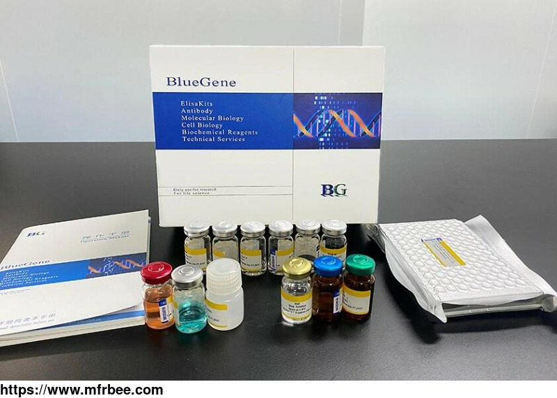 bluegene_biotech_bovine_c_type_natriuretic_peptide_elisa_kit