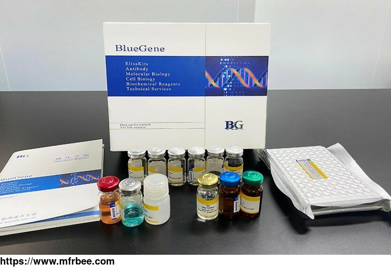 bluegene_biotech_bovine_decorin_elisa_kit