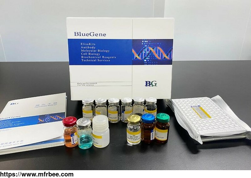 bluegene_biotech_sheep_anti_interleukin_10_elisa_kit