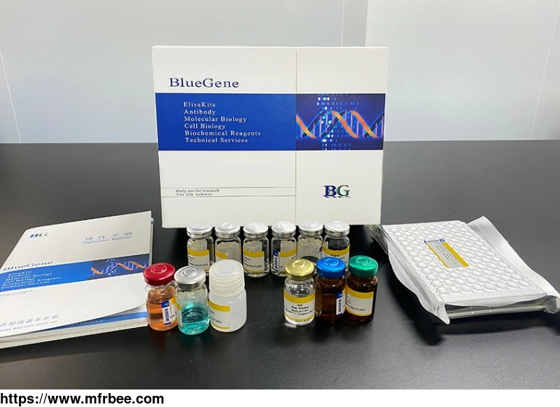 bluegene_biotech_hamster_total_adiponectin_elisa_kit