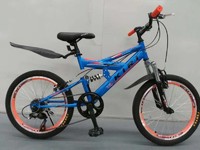 more images of Children and adolescents mountain bike