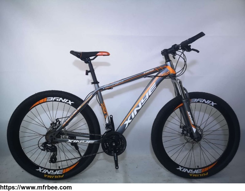 adolescent_student_adult_mountain_bike_variable_speed_cross_country_racing_cycle_portable_bicycle