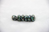 pandora beads of shell beads with large hole