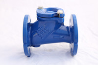 more images of Cast Iron Check Valve