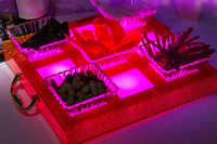 more images of LED Fruit Dish Suit