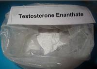 Testosterone Enanthate steroids material powder supply rachel@oronigroup.com