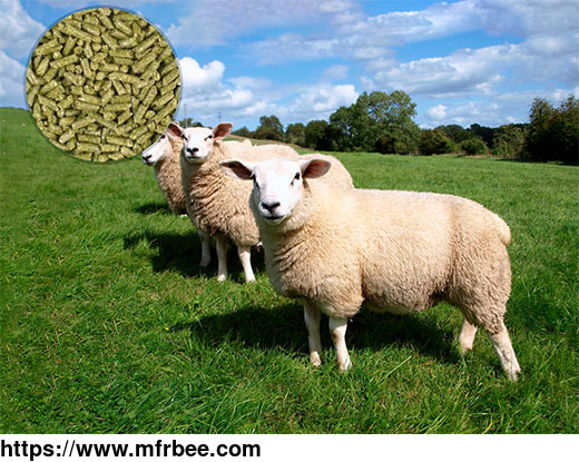 sheep_feed_mill_plant