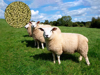 Sheep Feed Mill Plant