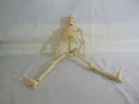 Medical human anatomy skeleton model nursing Training Manikin, cpr Manikin