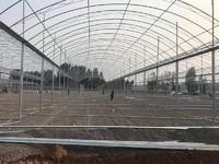 more images of single span greenhouse