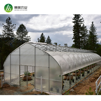 more images of Hot Sale Single-Span Film greenhouse indoor