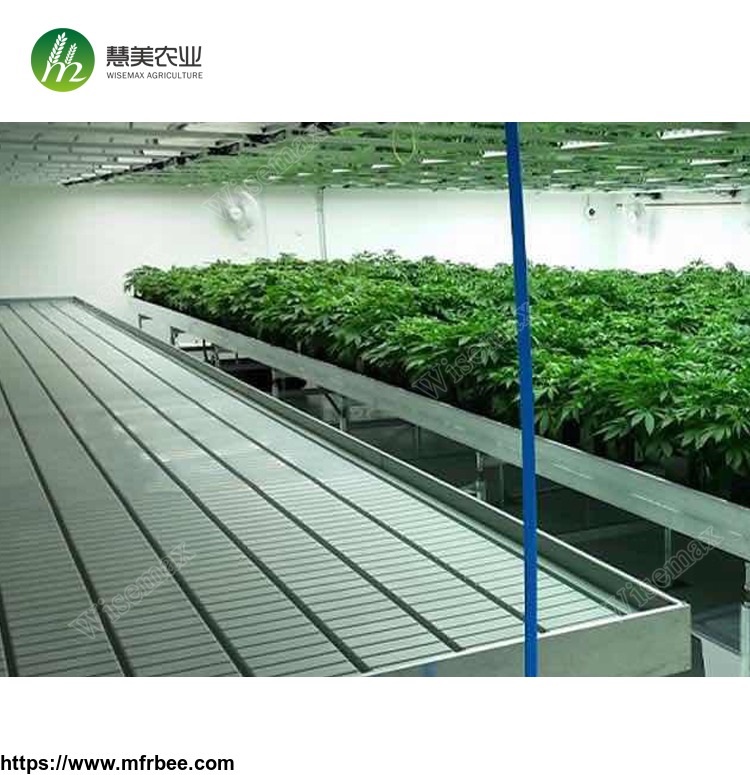 agricultural_medicine_seeding_growing_abs_tray_greenhouse_rolling_bench