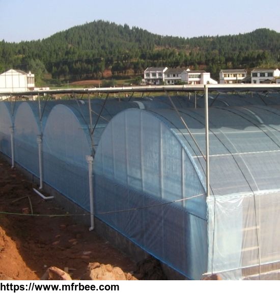 multi_span_plastic_film_greenhouse_for_agriculture