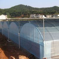 Multi-span plastic film greenhouse for agriculture