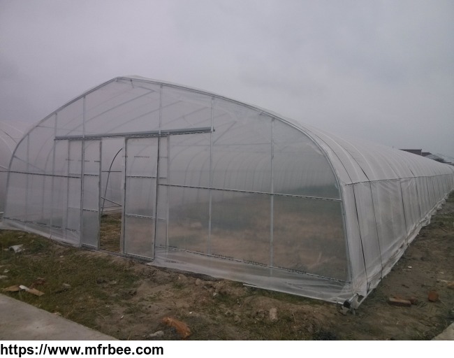 single_span_tunnel_pe_film_agricultural_greenhouses