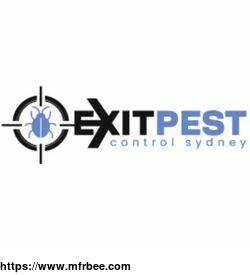 exit_spider_control_sydney