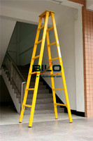 more images of FRP Ladder
