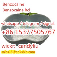 benzocaine,benzocaine china supplier,benzocaine supplier,benzocaine powder