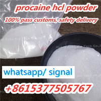 China factory supply procaine hcl cas 51-05-8