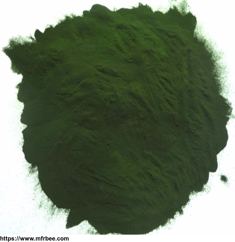 100_percentage_pure_spirulina_powder_for_nutrition_and_healthcare