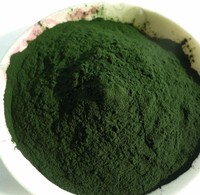 more images of ISO factory supply 100% pure chlorella powder