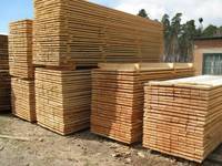 more images of Timber ,Oak timber , Beech timber,Fir timber.  Pine timber