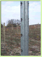 Vineyard posts roll forming machine