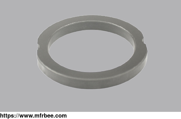 wear_resistant_sealing_graphite_ring