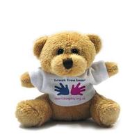 Plush Teddy Bear With T-shirt For Promotion