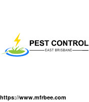 spider_control_east_brisbane
