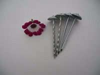 more images of Twisted Shank Nails