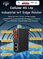 BLIIOT 4G Edge Industrial Router R10A for Photovoltaic System Operation