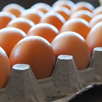 more images of Fresh Farm Eggs
