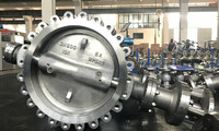 more images of Duplex Butterfly Valves