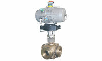 more images of Control Ball Valves