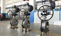 more images of Control Butterfly Valves