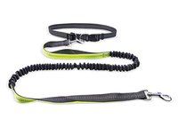 more images of retractable-leashes