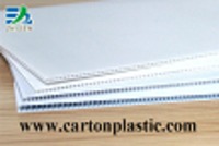 Corrugated Plastic Printed Sheets
