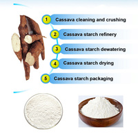 Cassava starch production line