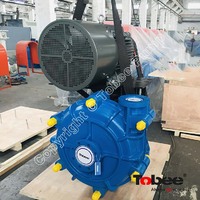 Tobee® 3/2D-HH High Head Slurry Pump with Motor