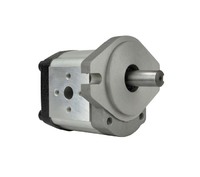 We can customize all kinds of gear pump for the Hydraulic system