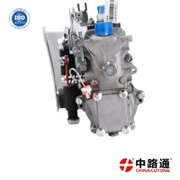 more images of Fuel Injection Pump BH4QT95R9 high pressure pump diesel